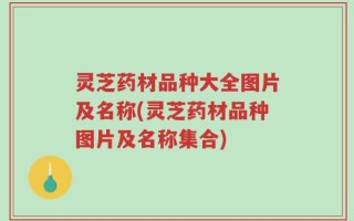 灵芝药材品种大全图片及名称(灵芝药材品种图片及名称集合)