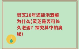 灵芝20年还能泡酒嘛为什么(灵芝是否可长久泡酒？探究其中的奥秘)