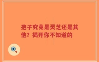 孢子究竟是灵芝还是其他？揭开你不知道的