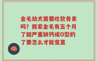 金毛幼犬需要吃软骨素吗？我家金毛有五个月了腿严重缺钙成O型的了要怎么才能变直