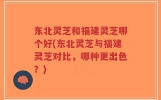 东北灵芝和福建灵芝哪个好(东北灵芝与福建灵芝对比，哪种更出色？)