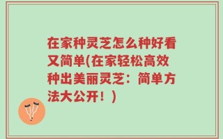 在家种灵芝怎么种好看又简单(在家轻松高效种出美丽灵芝：简单方法大公开！)