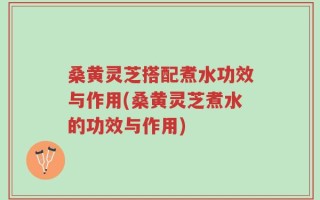 桑黄灵芝搭配煮水功效与作用(桑黄灵芝煮水的功效与作用)