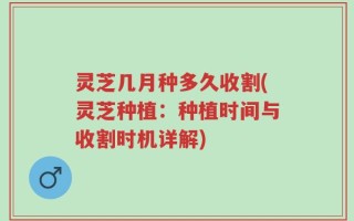 灵芝几月种多久收割(灵芝种植：种植时间与收割时机详解)