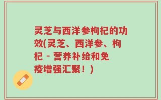 灵芝与西洋参枸杞的功效(灵芝、西洋参、枸杞 - 营养补给和免疫增强汇聚！)