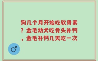 狗几个月开始吃软骨素？金毛幼犬吃骨头补钙，金毛补钙几天吃一次
