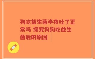 狗吃益生菌半夜吐了正常吗 探究狗狗吃益生菌后的原因
