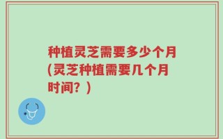 种植灵芝需要多少个月(灵芝种植需要几个月时间？)