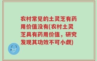 农村常见的土灵芝有药用价值没有(农村土灵芝具有药用价值，研究发现其功效不可小觑)