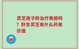 灵芝孢子粉治疗黄疸吗？野生灵芝有什么药用价值