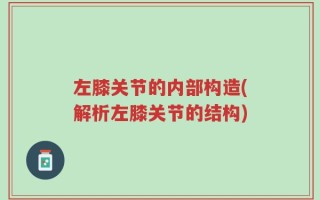 左膝关节的内部构造(解析左膝关节的结构)