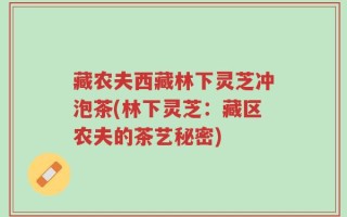 藏农夫西藏林下灵芝冲泡茶(林下灵芝：藏区农夫的茶艺秘密)