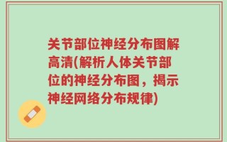 关节部位神经分布图解高清(解析人体关节部位的神经分布图，揭示神经网络分布规律)
