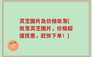 灵芝图片及价格批发(批发灵芝图片，价格超值优惠，赶快下单！)
