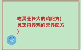 吃灵芝长大的鸡配方(灵芝饲养鸡的营养配方)