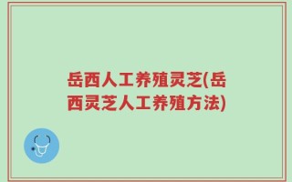 岳西人工养殖灵芝(岳西灵芝人工养殖方法)