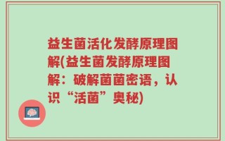 益生菌活化发酵原理图解(益生菌发酵原理图解：破解菌菌密语，认识“活菌”奥秘)