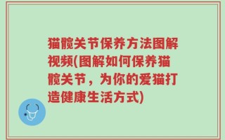 猫髋关节保养方法图解视频(图解如何保养猫髋关节，为你的爱猫打造健康生活方式)