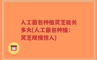 人工菌包种植灵芝能长多大(人工菌包种植：灵芝规模惊人)