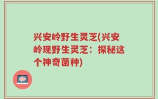兴安岭野生灵芝(兴安岭现野生灵芝：探秘这个神奇菌种)
