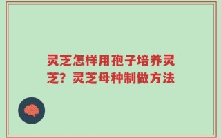 灵芝怎样用孢子培养灵芝？灵芝母种制做方法