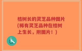 桔树长的灵芝品种图片(稀有灵芝品种在桔树上生长，附图片！)