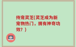 侍宠灵芝(灵芝成为新宠物热门，拥有神奇功效？)