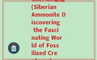 siberian氨糖(Siberian Ammonite Discovering the Fascinating World of Fossilized Creatures)
