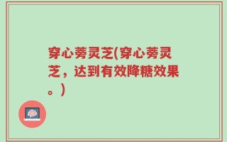 穿心蒡灵芝(穿心蒡灵芝，达到有效降糖效果。)