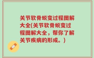 关节软骨蜕变过程图解大全(关节软骨蜕变过程图解大全，帮你了解关节疾病的形成。)