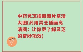 中药灵芝插画图片高清大图(药用灵芝插画高清图：让你更了解灵芝的奇妙功效)