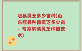 冠县灵芝多少亩种(山东冠县种植灵芝多少亩，专家解读灵芝种植技术)