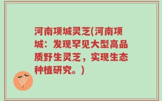河南项城灵芝(河南项城：发现罕见大型高品质野生灵芝，实现生态种植研究。)