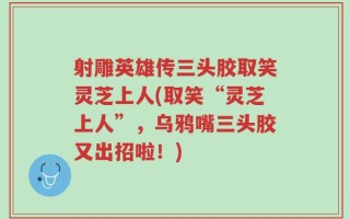 射雕英雄传三头胶取笑灵芝上人(取笑“灵芝上人”，乌鸦嘴三头胶又出招啦！)
