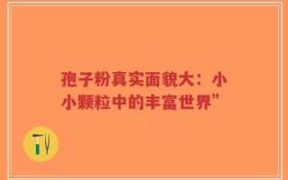孢子粉真实面貌大：小小颗粒中的丰富世界”