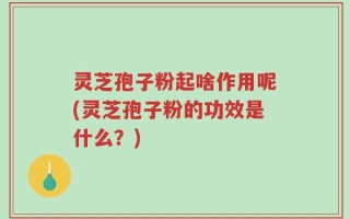 灵芝孢子粉起啥作用呢(灵芝孢子粉的功效是什么？)
