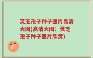 灵芝孢子种子图片高清大图(高清大图：灵芝孢子种子图片欣赏)