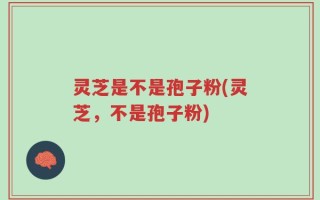 灵芝是不是孢子粉(灵芝，不是孢子粉)