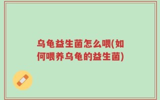 乌龟益生菌怎么喂(如何喂养乌龟的益生菌)