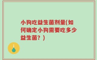 小狗吃益生菌剂量(如何确定小狗需要吃多少益生菌？)