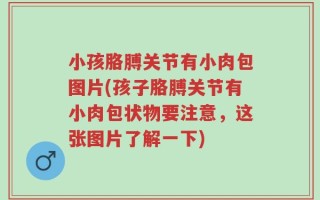 小孩胳膊关节有小肉包图片(孩子胳膊关节有小肉包状物要注意，这张图片了解一下)