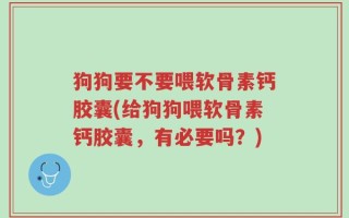 狗狗要不要喂软骨素钙胶囊(给狗狗喂软骨素钙胶囊，有必要吗？)