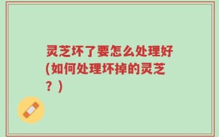 灵芝坏了要怎么处理好(如何处理坏掉的灵芝？)
