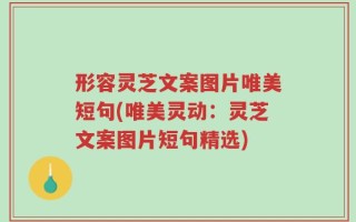 形容灵芝文案图片唯美短句(唯美灵动：灵芝文案图片短句精选)