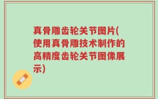 真骨雕齿轮关节图片(使用真骨雕技术制作的高精度齿轮关节图像展示)