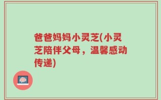 爸爸妈妈小灵芝(小灵芝陪伴父母，温馨感动传递)