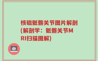 核磁骶髂关节图片解剖(解剖学：骶髂关节MRI扫描图解)