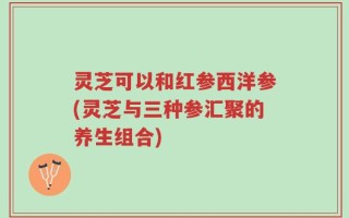 灵芝可以和红参西洋参(灵芝与三种参汇聚的养生组合)