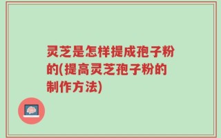 灵芝是怎样提成孢子粉的(提高灵芝孢子粉的制作方法)