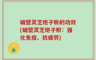 破壁灵芝炮子粉的功效(破壁灵芝炮子粉：强化免疫、抗疲劳)